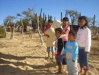 Dillon Foundation - Cabo Community Assistance Program