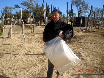 Dillon Foundation - Cabo Community Assistance Program