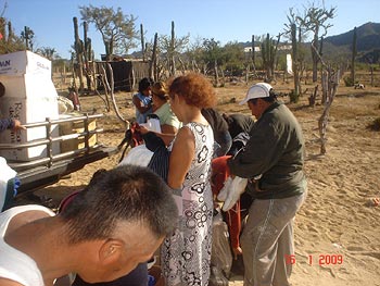 Dillon Foundation - Cabo Community Assistance Program